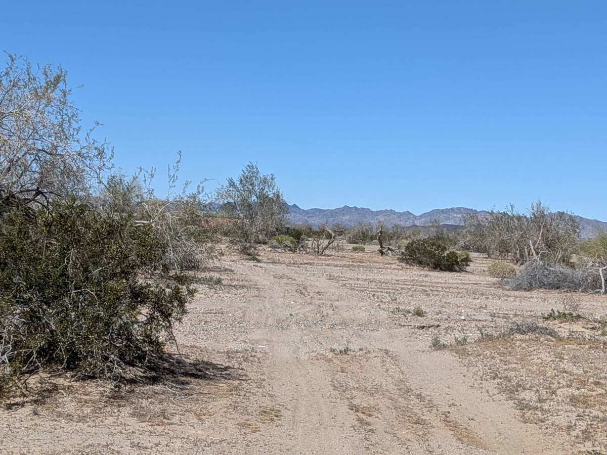 BLM 761 photo 2