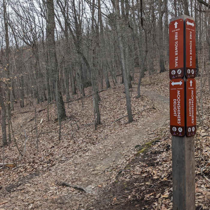 Near River Mountain Road