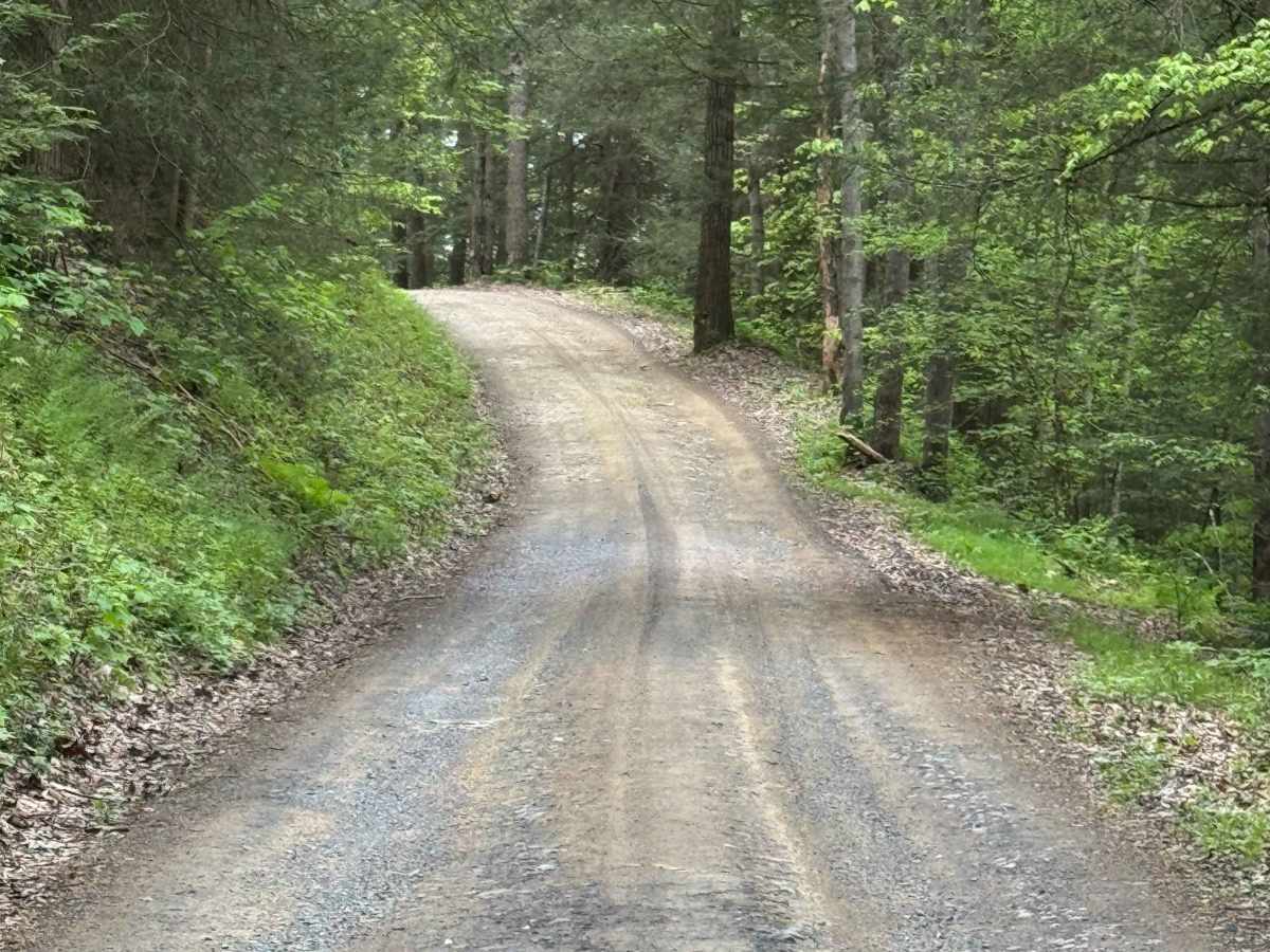 Shepard Road photo 5