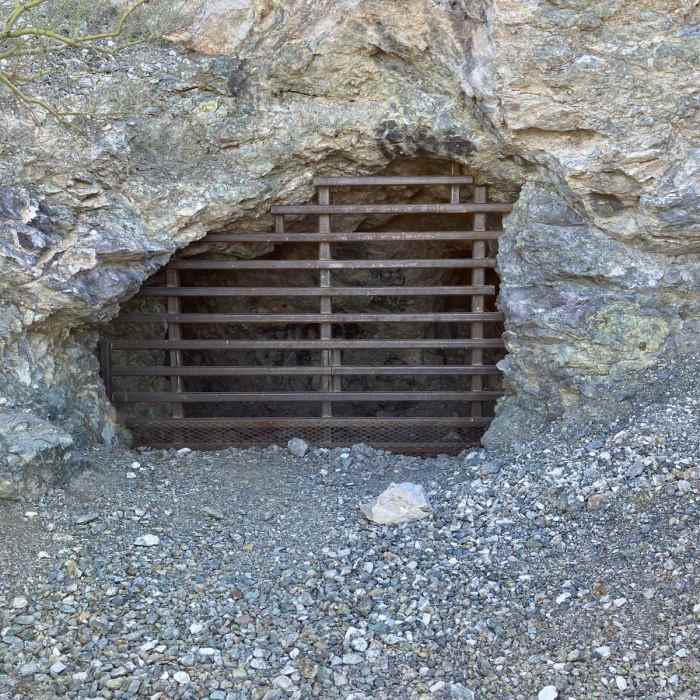 Near Thunderbird Trail