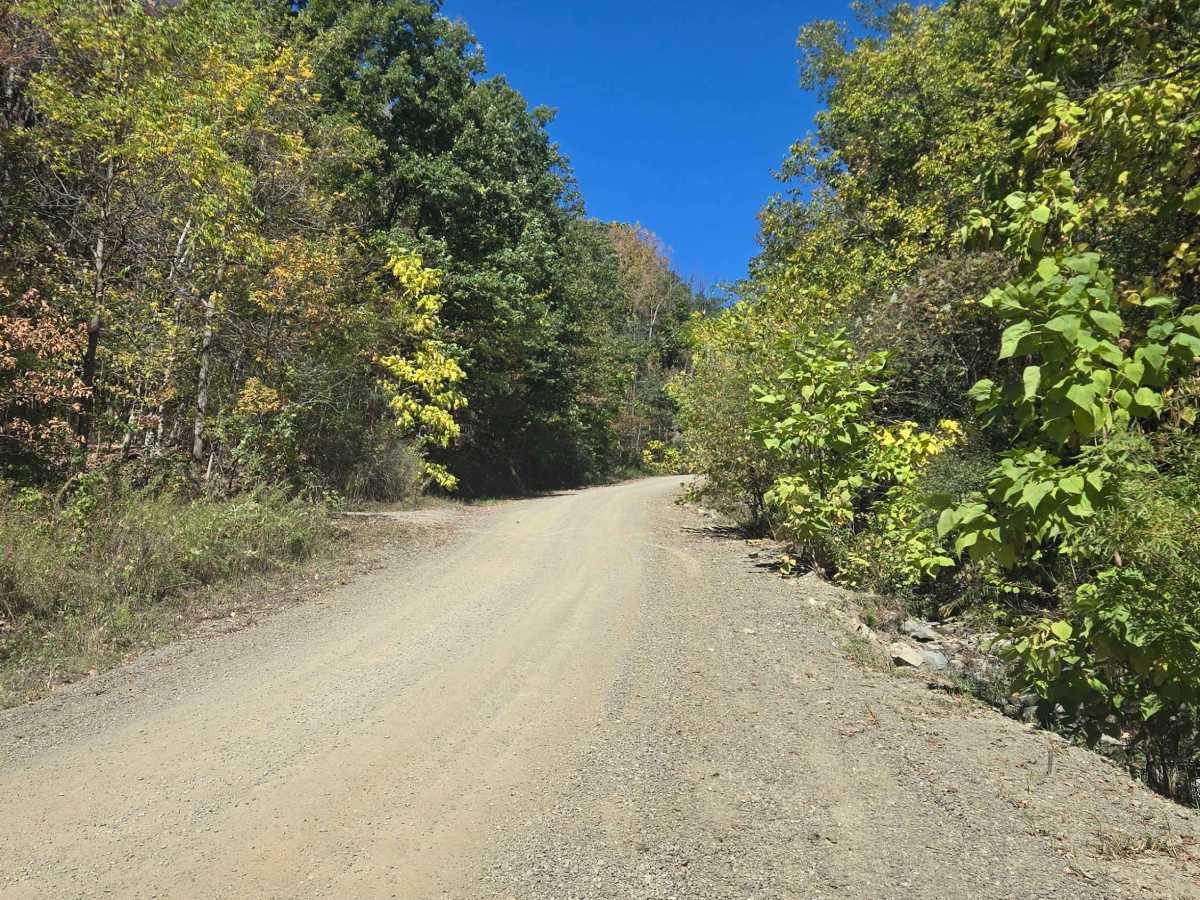 Vogt Road photo 3