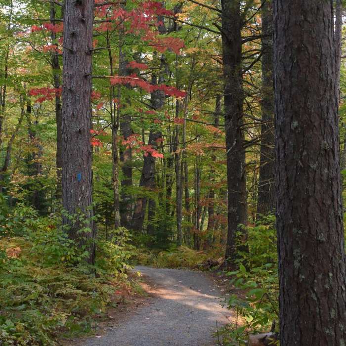 Near O Kun de Kun Falls via North Country Trail