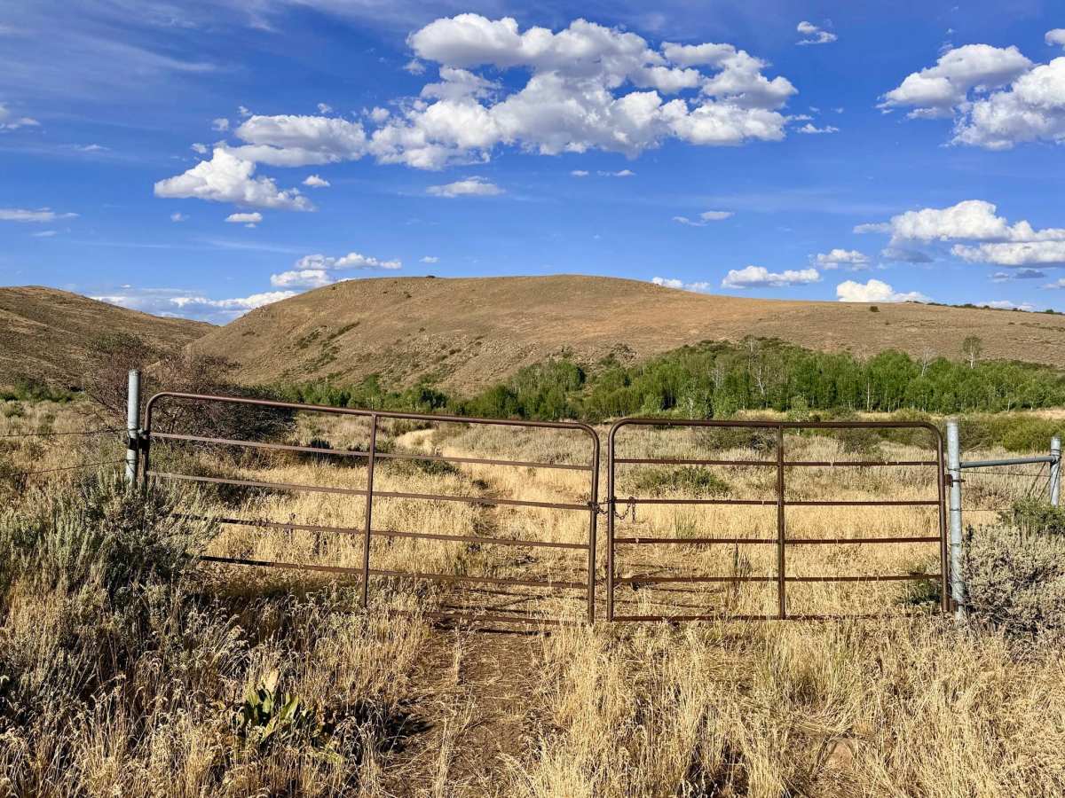 Winters Creek Road - FS 56156 photo 3