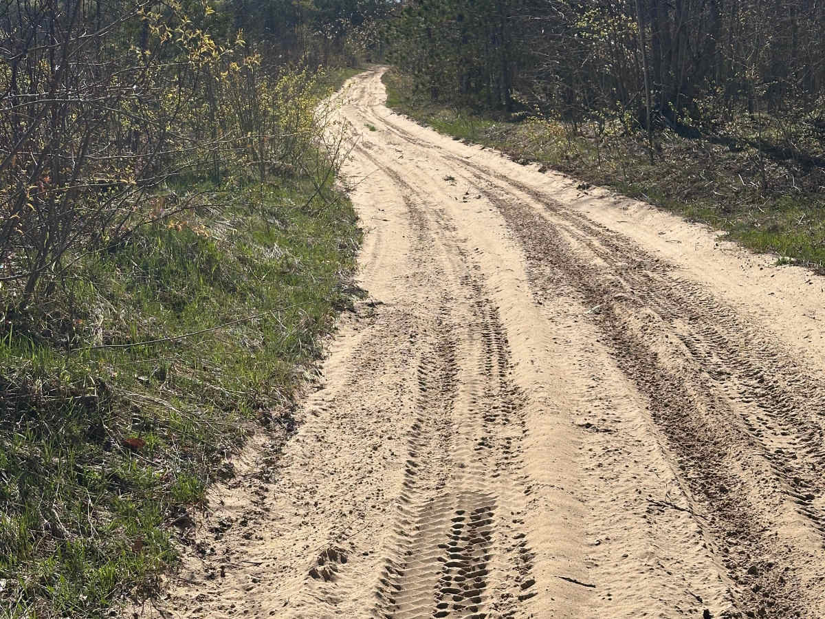 Crooked Road photo 2