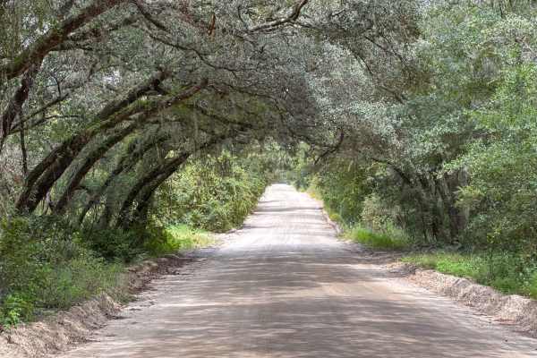 Halloway Road