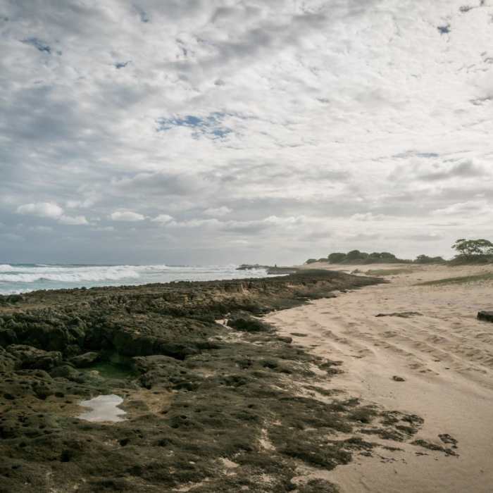Near Kahuku Shoreline Near Kahuku Shoreline