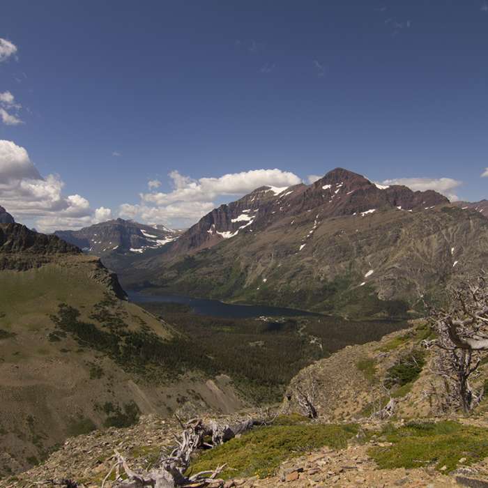 Near Scenic Point Out and Back