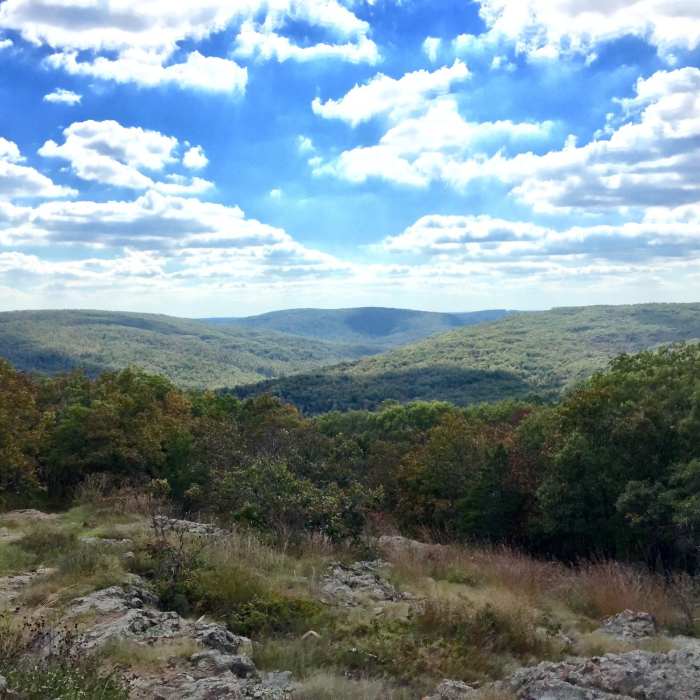 Near Ozark Trail: Taum Sauk Section