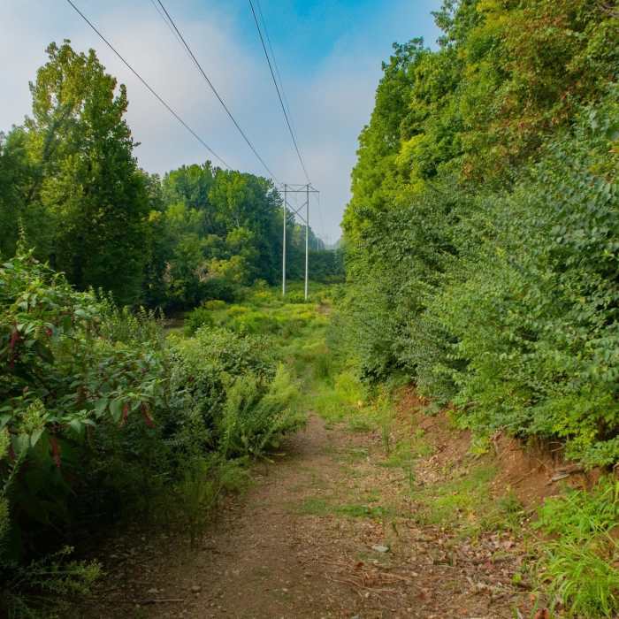 Area before Burnett's Bridge. Can be muddy. Near Wabash Heritage Trail