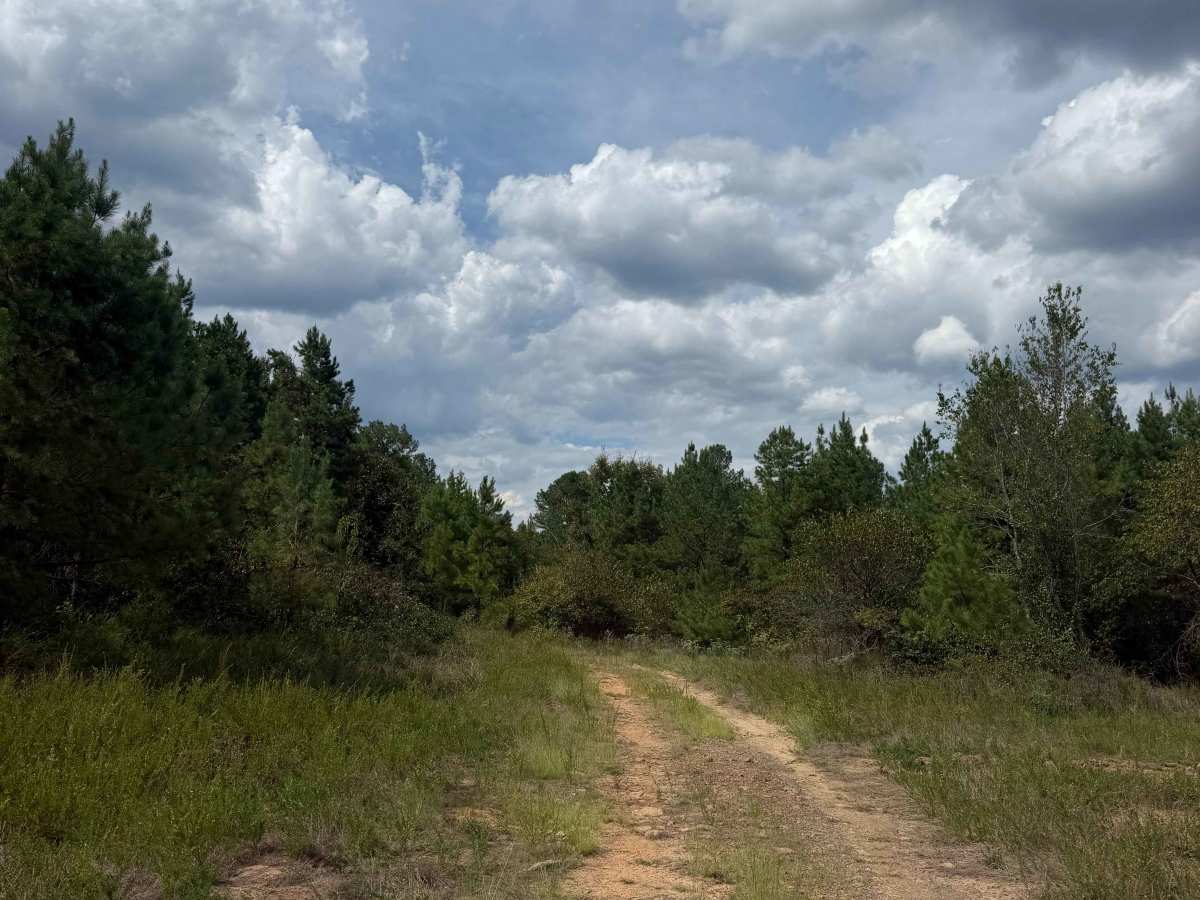 Oak Mountain Road photo 3