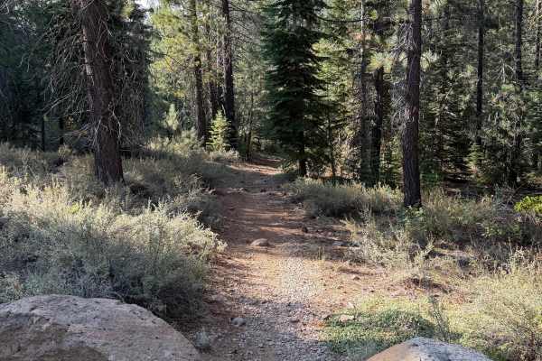 06-08 East Moto Trail