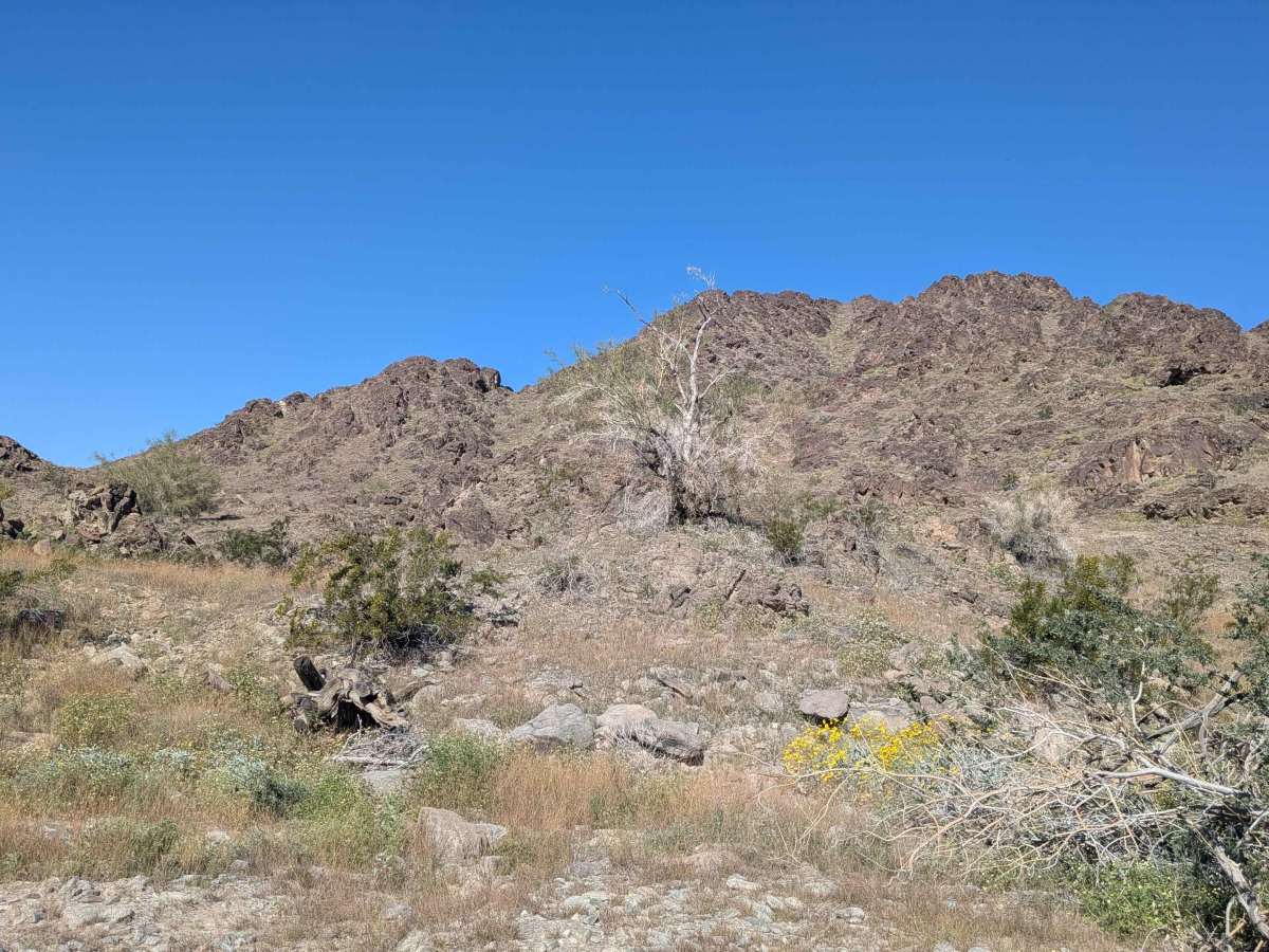 LP1538 trail photo