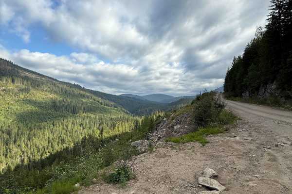Scotch Creek FSR