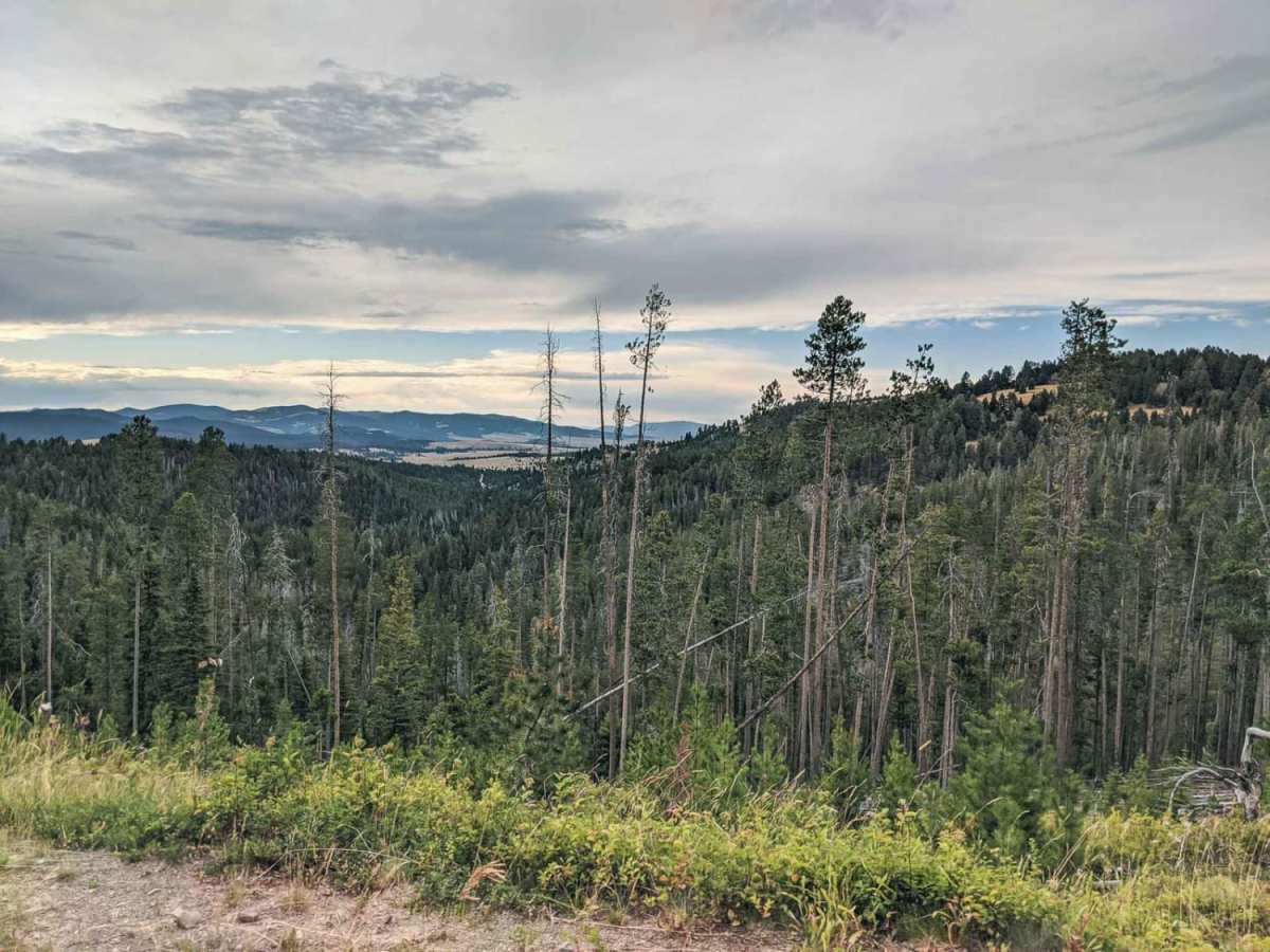 Irish Mine trail photo