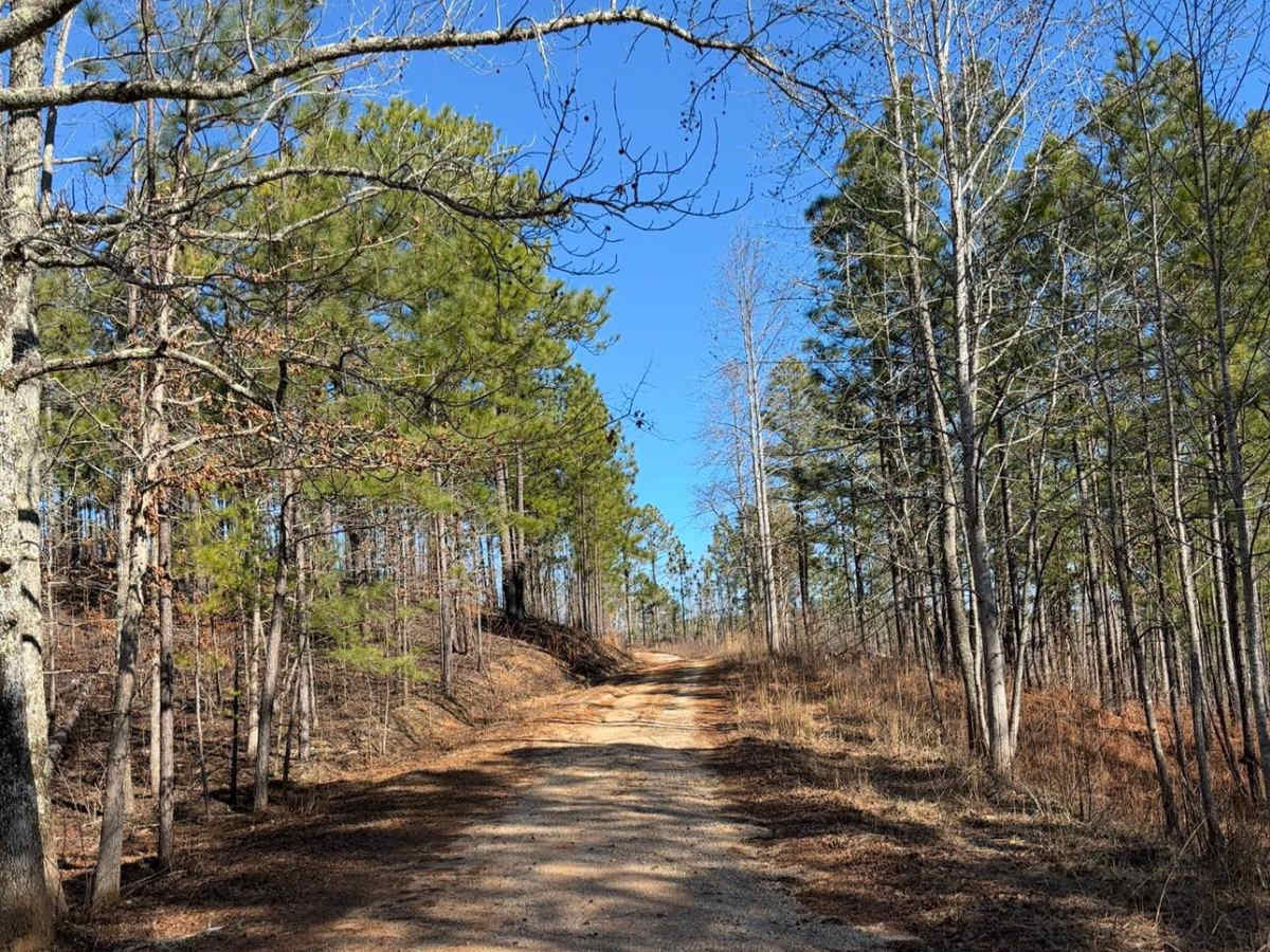 FS 637 K/M trail photo