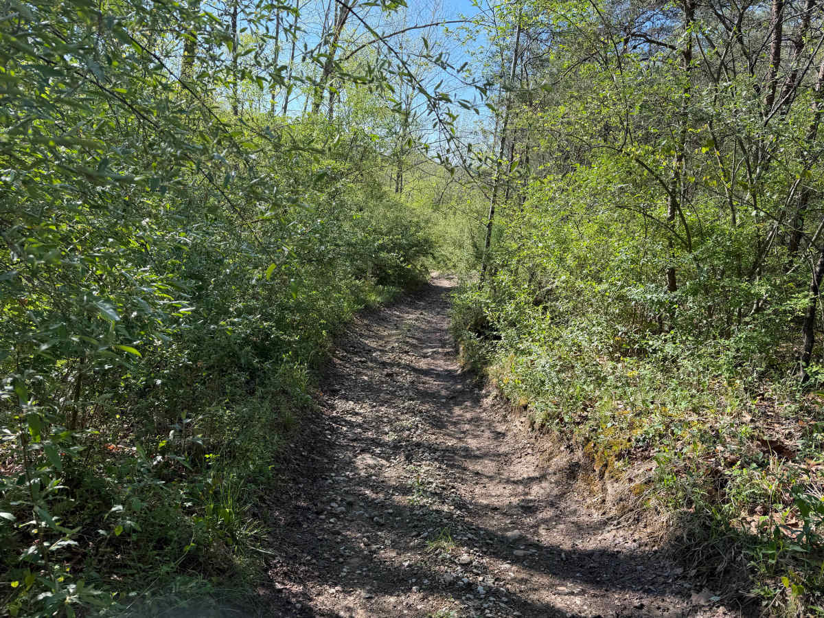 Bear Claw Trail trail photo
