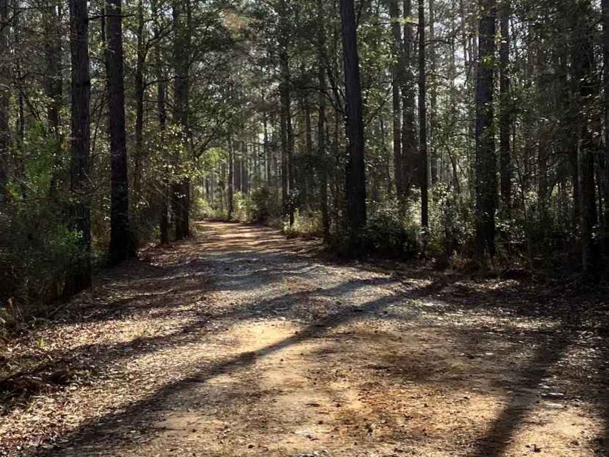 SR 114 photo 6
