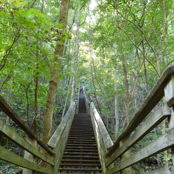 Near Kaymoor Miners Trail