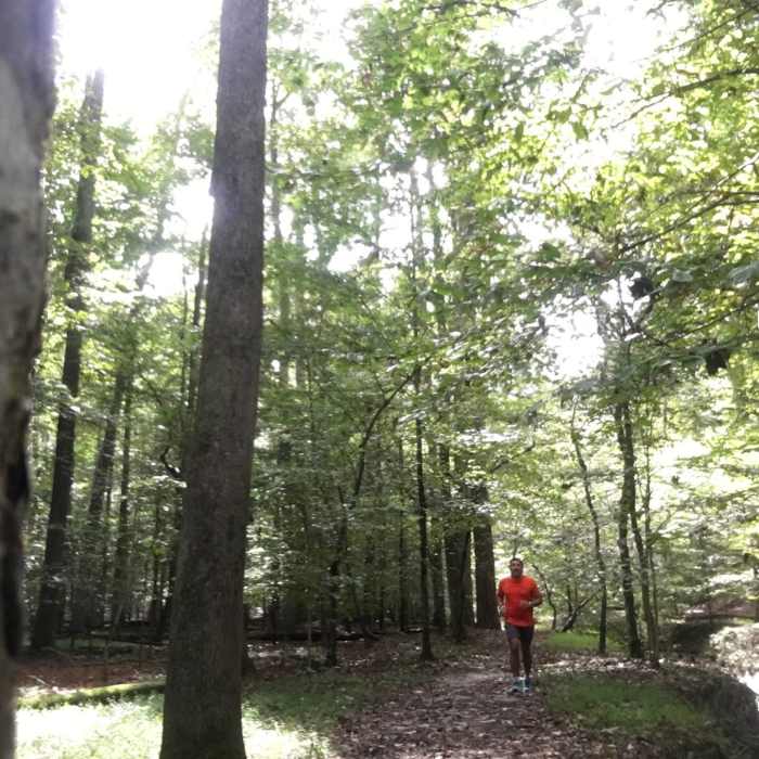 Along the side of Poor Creek Trail. Near Petersburg Battlefield Trail