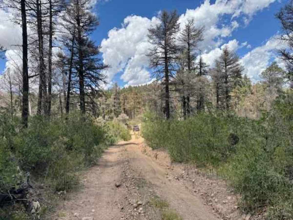 Revengers Ride trail photo
