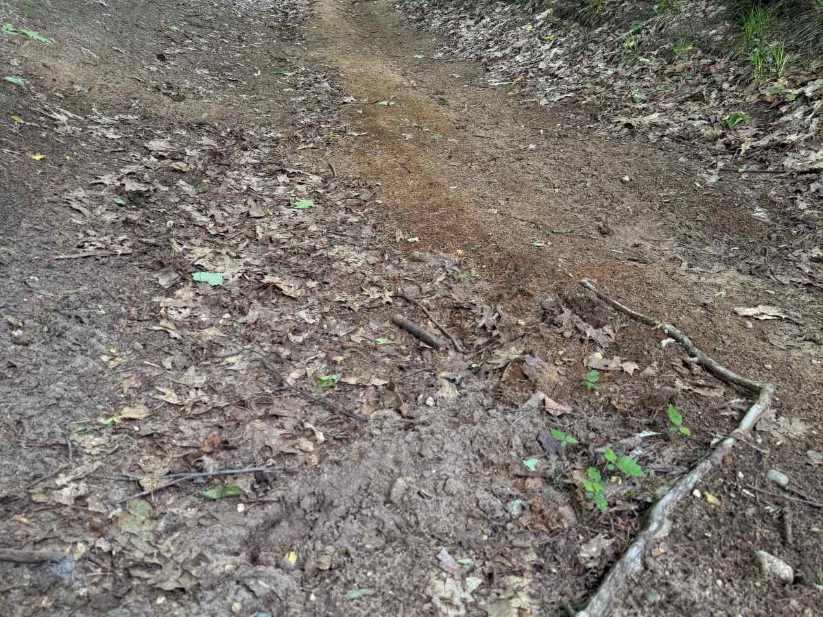 Island Lake North Trail photo 2