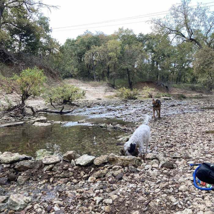 Near Great Blue Heron Loop