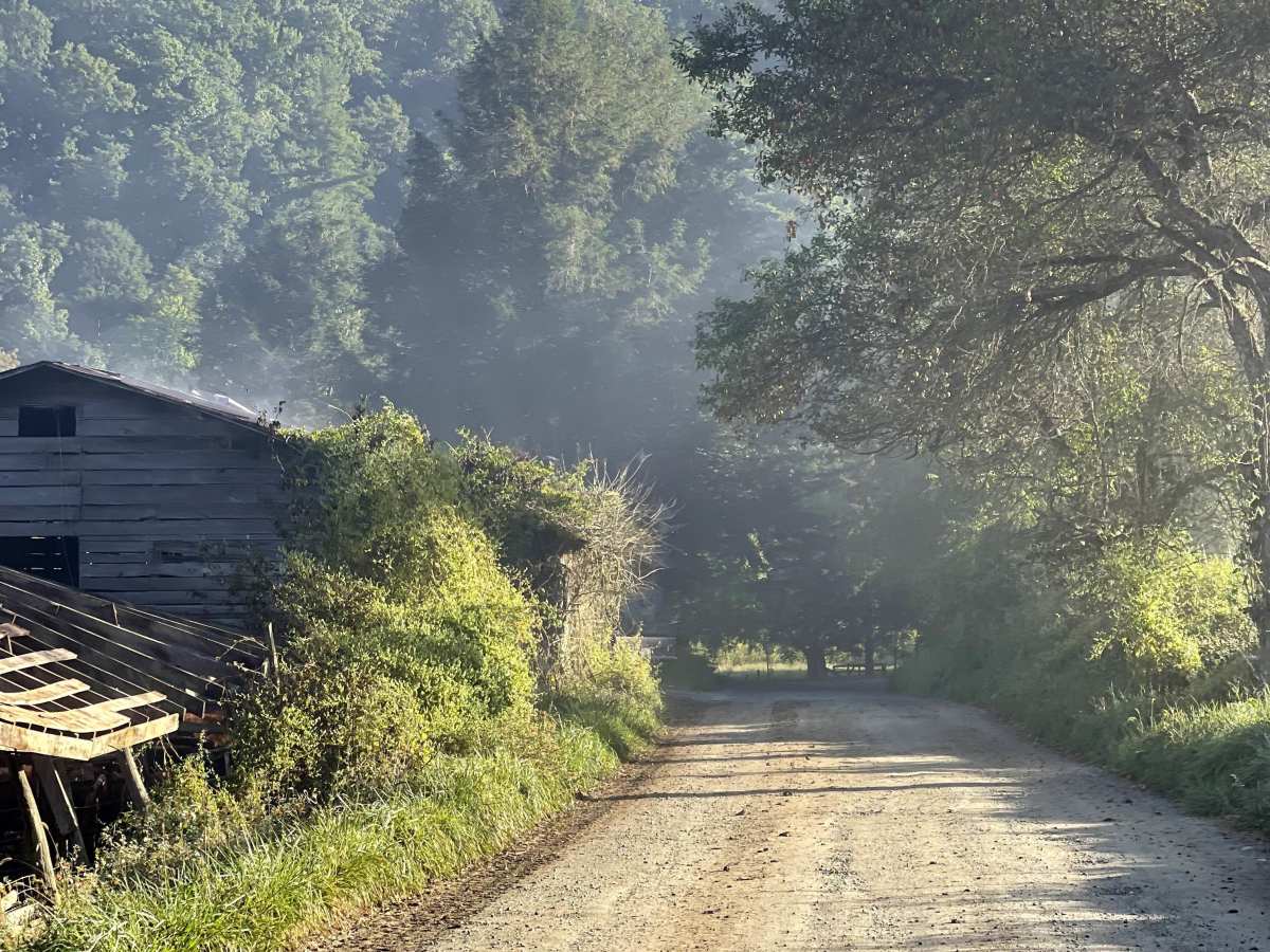 Roby Green Road photo 2