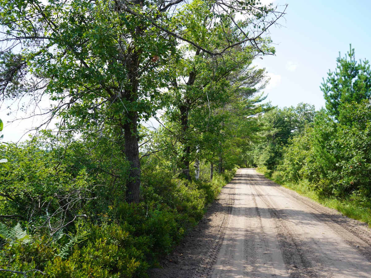 East Fireline Trail trail photo