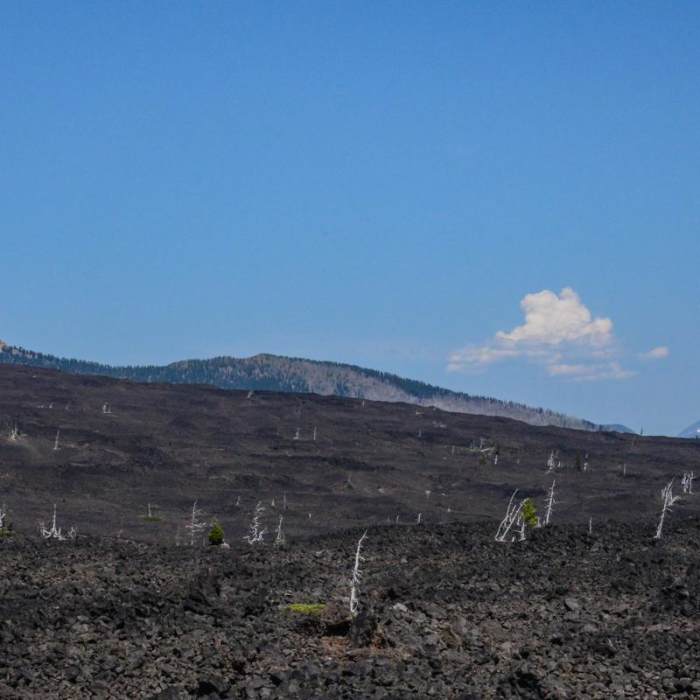 Near Lava River National Recreation Trail