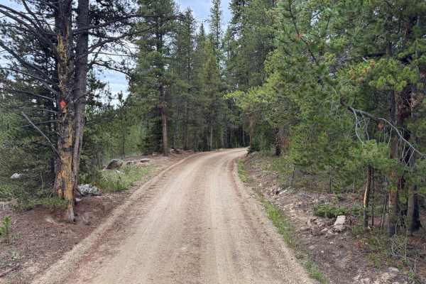 Wurts Ditch Road