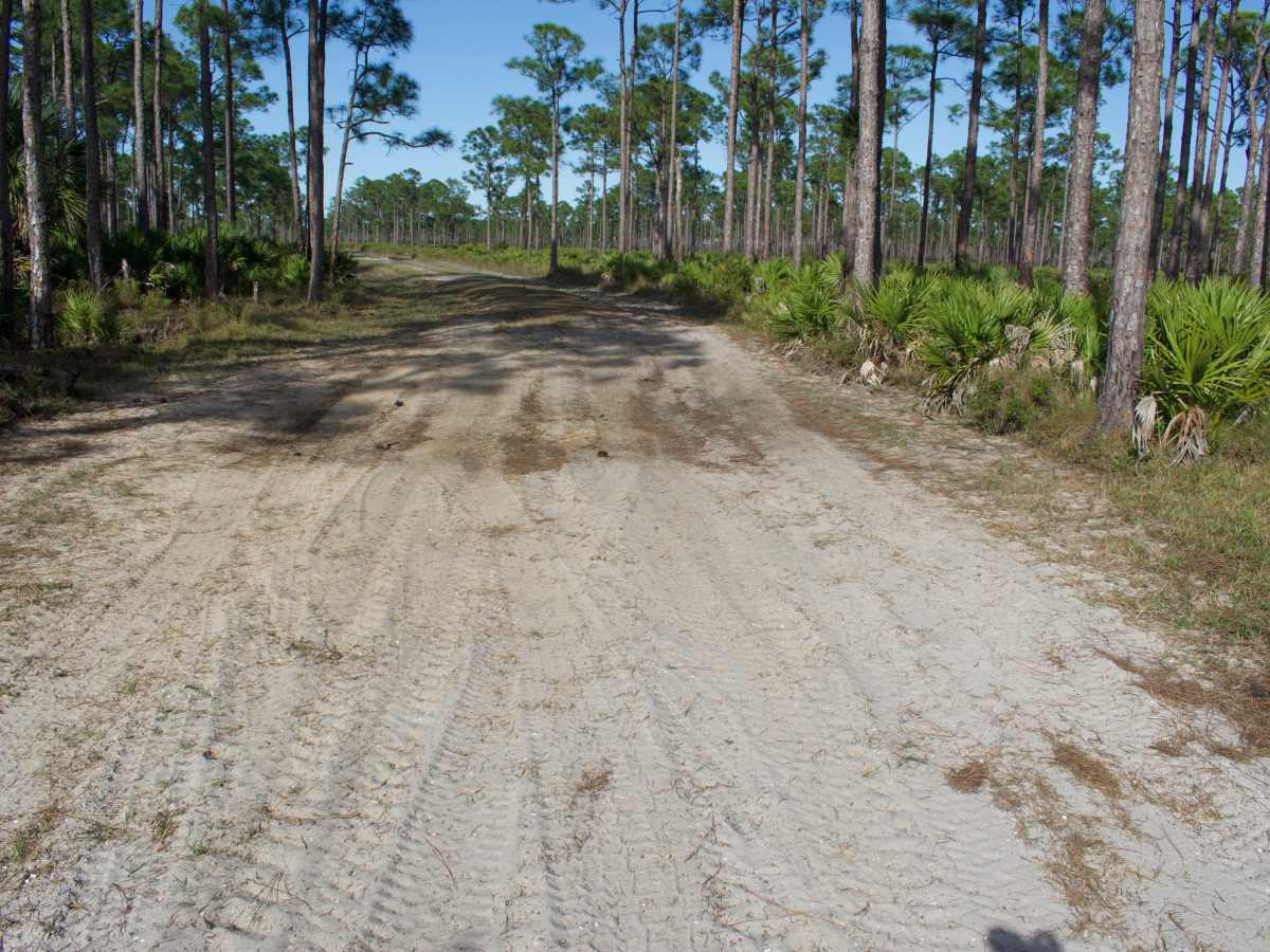 Road 8A photo 3