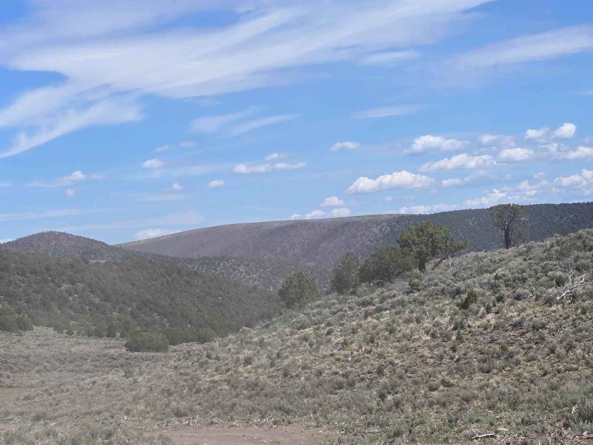 Mill Creek Trail - FS 41161 photo 4