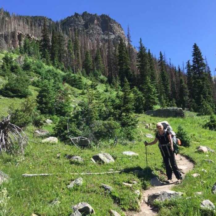 Near Tonohutu Creek Trail