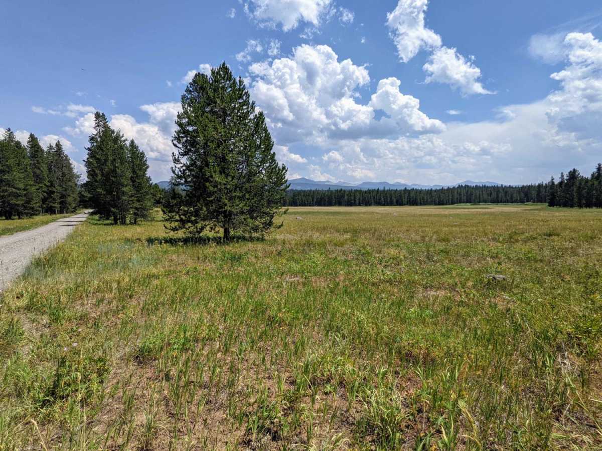 Jackass Loop Trail (FS 264) trail photo