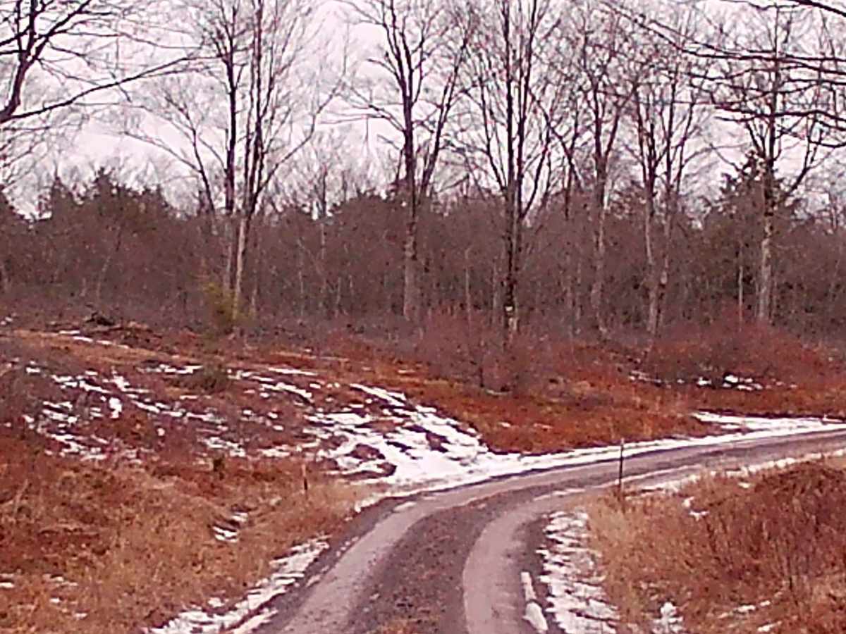 Masonite Road photo 4
