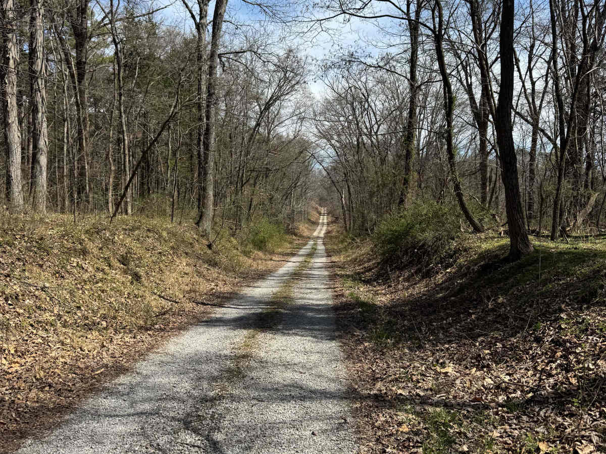 Burden Falls Road photo 5
