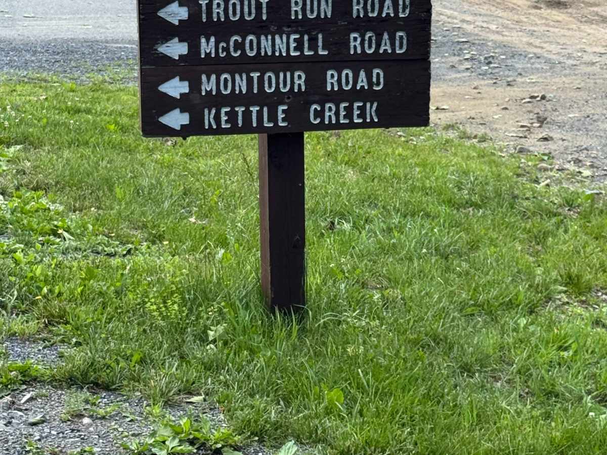 Mahon Run Road trail photo