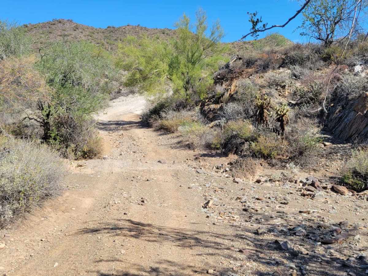 9949 to Black Canyon Trail photo 5