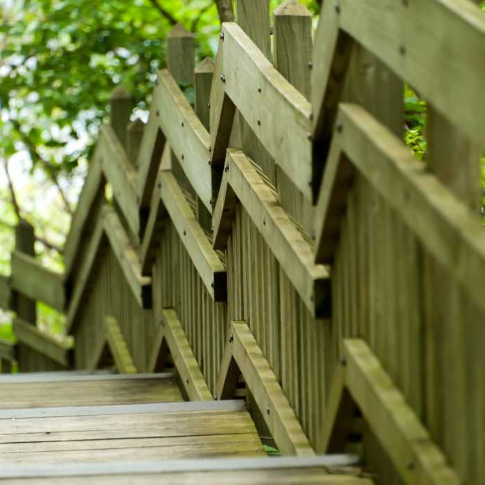Near Bridal Veil Falls Trail