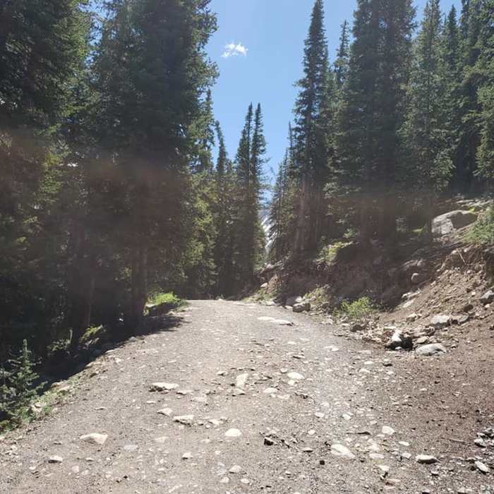 Near Mayflower Gulch Road