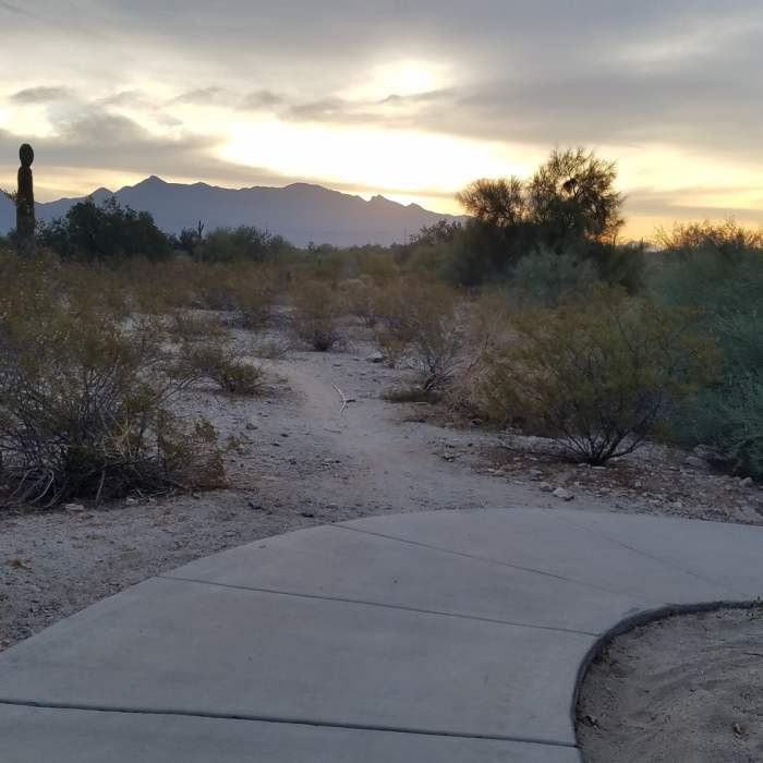 Near Estrella Foothills Loop