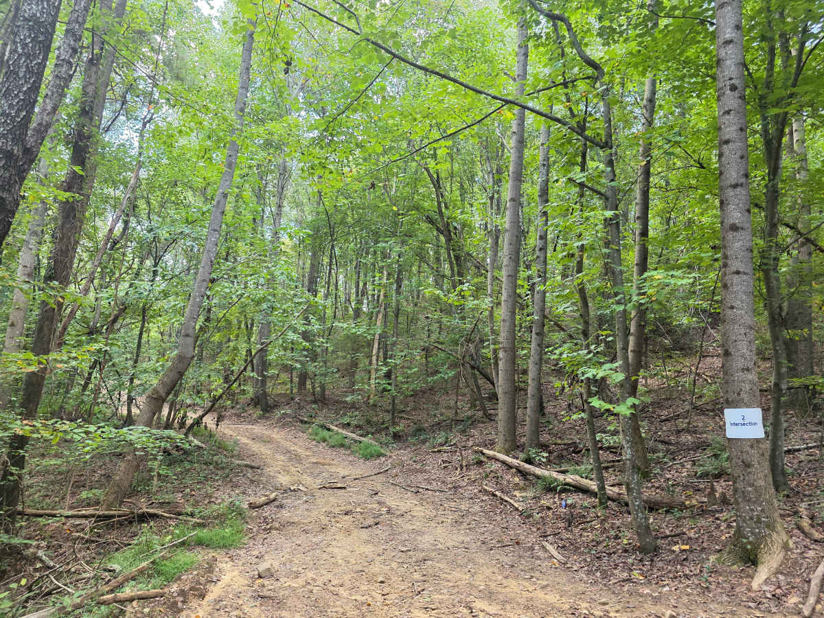 250 Acre Trail photo 3