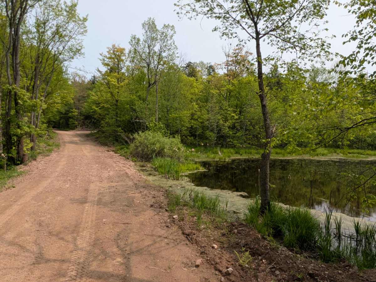 Northwestern Trail trail photo