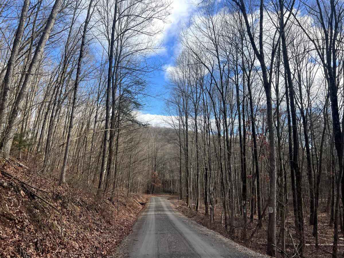 Bear Creek Road photo 6