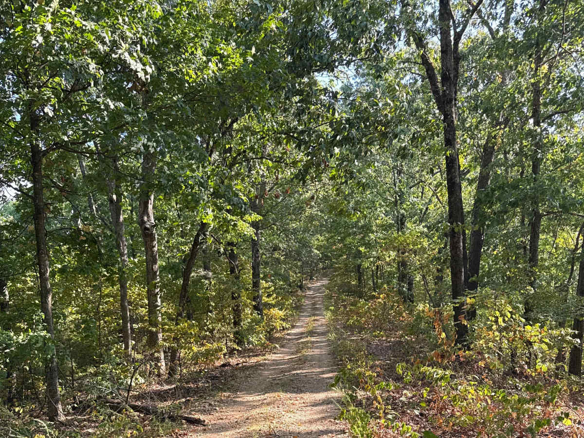 Bright Ridge - FS 548 photo 6