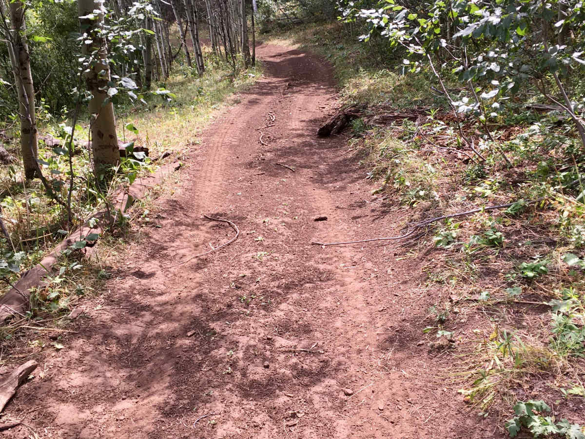 Lone Pine Pass ATV Trail photo 6