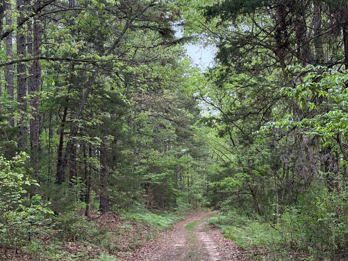 OHT Twin Creek  photo 5