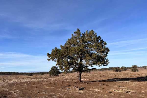 Corral Creek Road