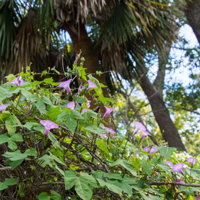 Near White Point Beach Hike