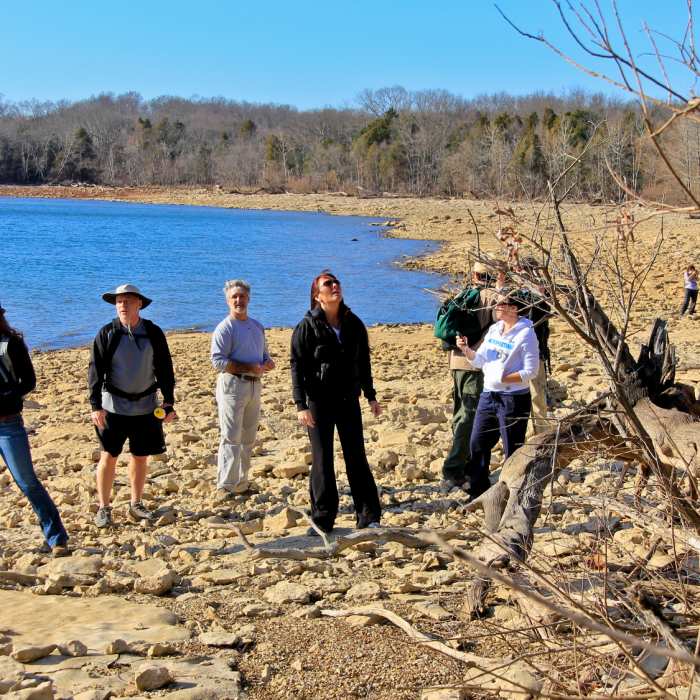 Near Bryant Grove Trail